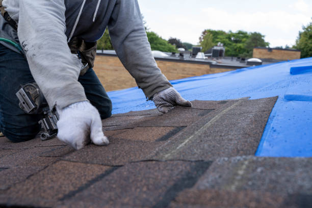 Best Local Roofing Companies  in Anson, TX