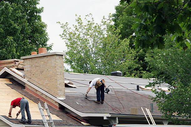 Best Roof Gutter Cleaning  in Anson, TX